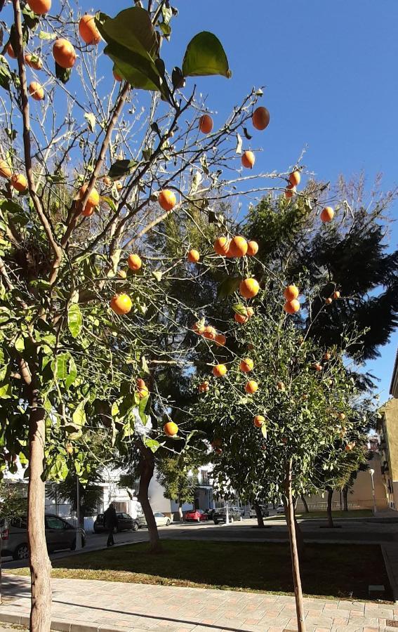 Valinor Apartments Boliches Fuengirola Bagian luar foto